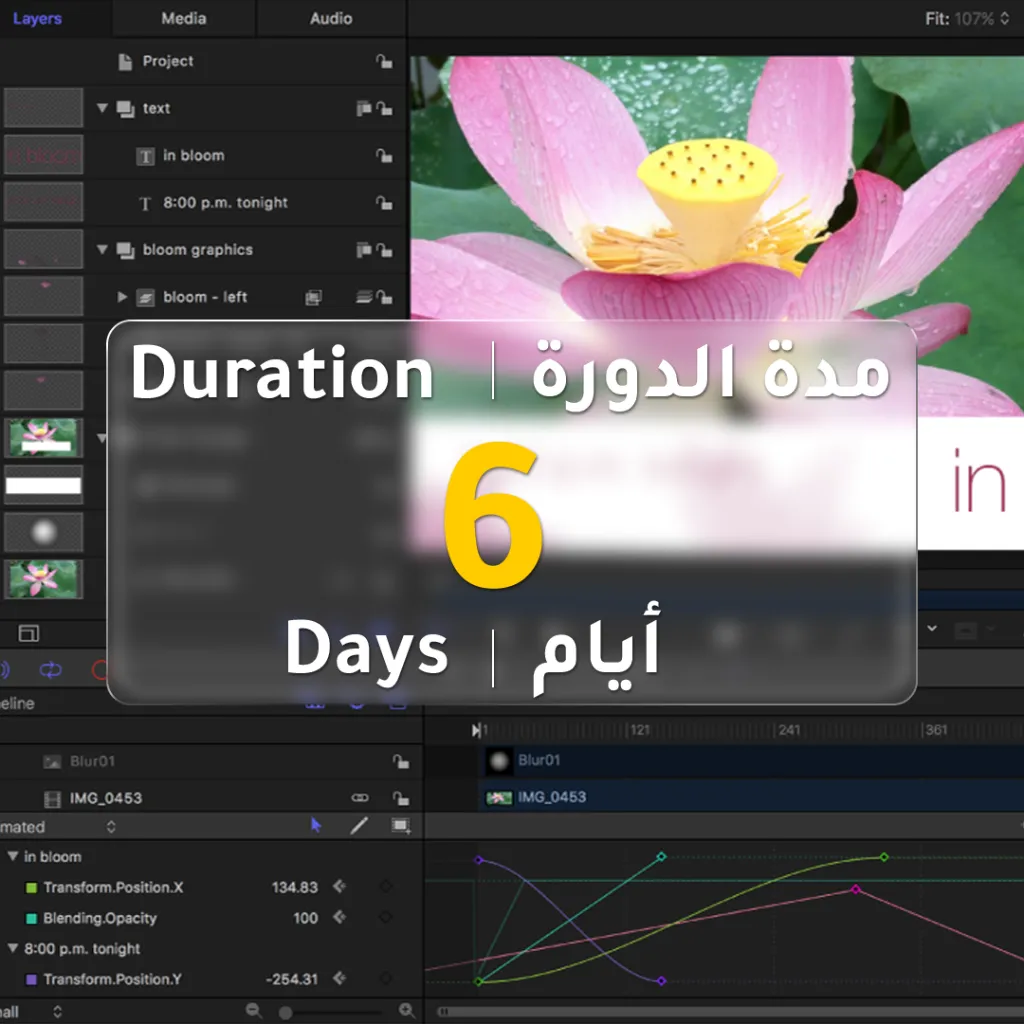 Motion-201-Info-01.webp